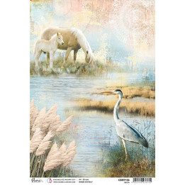 copy of 